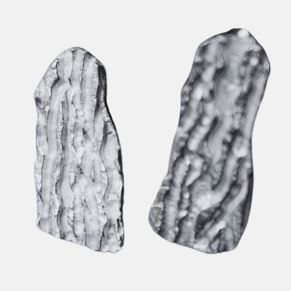 Aretes Sueño del Bosque